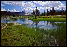 Spring pond in Tuolumne Meadows and Lambert Dome by Quang-Tuan Luong: 