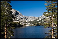 Tenaya Lake framed by trees by Quang-Tuan Luong: Tenaya Lake framed by trees photo by Quang-Tuan Luong used with permission