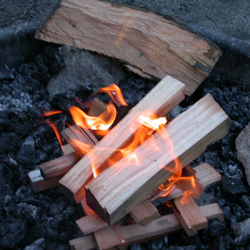 fire with first added wood: 