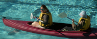 kayak in pool 2005 three: 