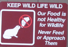 sign keep wildlife wild: a sign that says keep wildlife wild, our food is not healthy for wildlife, never approach or feed them