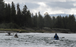 mini rapids on Snake river: three kayakers in swiftly moving water