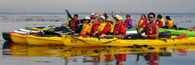 ocean kayak group from side: 