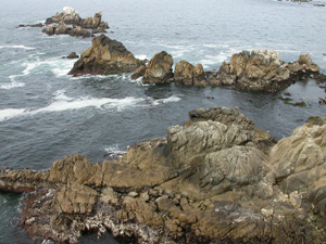 Point Lobos at entrance to whalers cove.: 