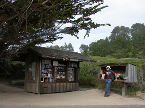 Docent at information station near Allan Memorial Grove: 