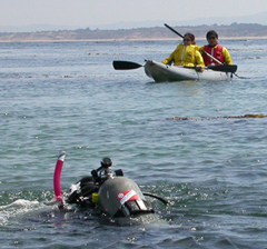 scuba diver and 2 kayakers may 2005: 