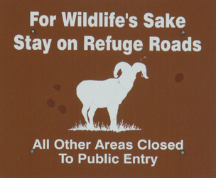 sign for wildlife sake stay on road: sign that says for wildlife sake stay on road