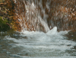 waterfall De Anza arboretum: 