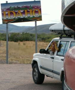 2005 moose driving Jeep: 