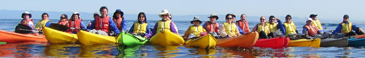 2010groupphoto120 pixels 21 kayakers: 21 kayaers in a row on Monterey bay