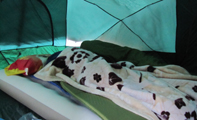 2 in tent winter 2011: 2 people in sleeping bags on a thick air mattress in a tent