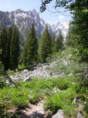 Cascade Canyon trail and mtn: 