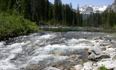 Cascade Creek at second talus slope: 