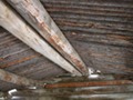 Cunningham cabin interior roof detail: 