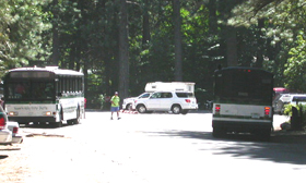 Curry Village shuttle bus stop: 