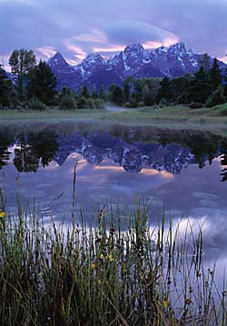 David Whitten photo beaver pond teton range: 