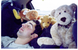 Kevin Halseth Bullwinkle and bears asleep on road trip by Wendy Sato: 