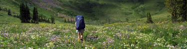 NPS photo backpacker in Death Canyon: 