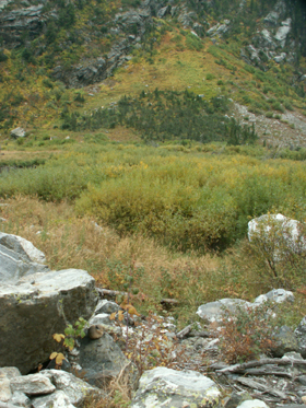 Pika's home at edge of rockfield Grand Teton park Sept. 2006: 