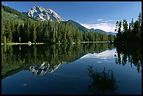 terragalleria Mount Moran reflected in Leigh Lake: 