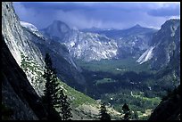 QT Luong Yose valley from Yose Falls trail: 