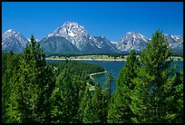 Teton range and Jackson Lake seen from Signal Mountain by Quang-Tuan Luong: 