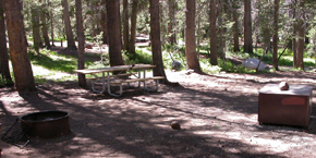 typical Tuolumne campsite: 