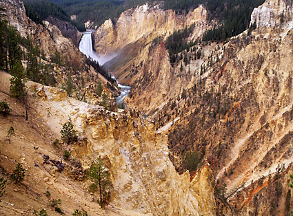 Yellowstone Falls, Grand Canyon of the Yellowstone river, Yellowstone National Park, Wyoming copyright david whitten: Yellowstone Falls, Grand Canyon of the Yellowstone river, Yellowstone National Park, Wyoming copyright david whitten