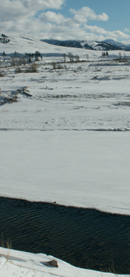 Yellowstone winter 2007 soda butte creek ouzel: 