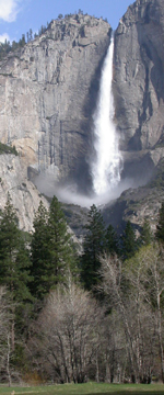 Yosemite falls and coyote: 