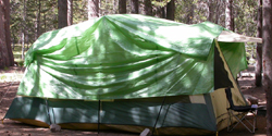 cabin tent with green tarp: 