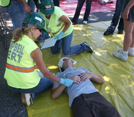 cert taking pulse: 