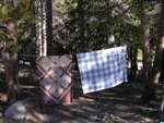 clothesline: 