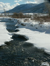 ice bridge, blowing snow on bank of Soda Butte creek: 