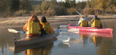 kayakers watch napping moose: 
