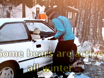 man folding car door back into place: man folding car door back into place after a bear broke into his car