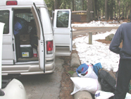 more room in the vehicle on the way home: 