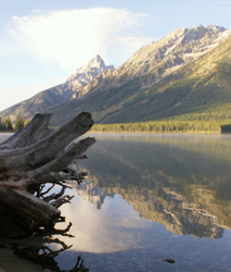 morning mist on leigh lake: 