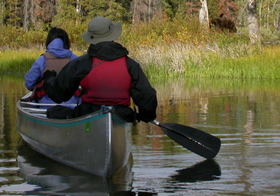 canoeists see moose on island: 