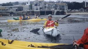 ocean kayakers in Monterey: 