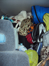 photo by Alanna Klassen car stuffed with gear: floor to ceiling in a sedan, bags of stuff