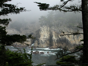 Point Lobos cypress cove: 