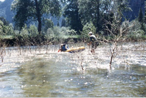 raft in bushes: raft in bushes, not from our group