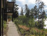 signal mountain lodge lakeside units: a row of two story hotel units with some trees blocking the views