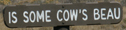 sign is some cows beau: 