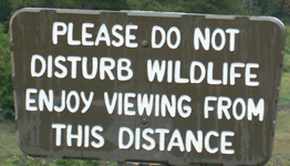 sign view from this distance: 