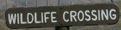 sign wildlife crossing: 