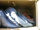 sleeping in bear box: 