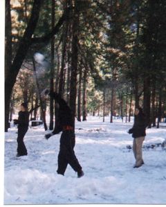 snowball fight: 