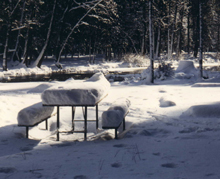 snow-covered picnic table: 